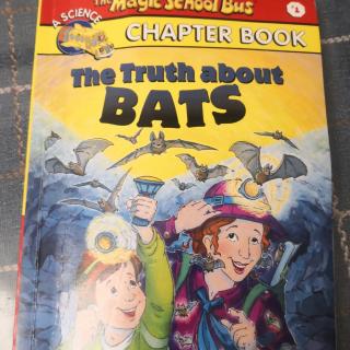 20210129the truth about bats