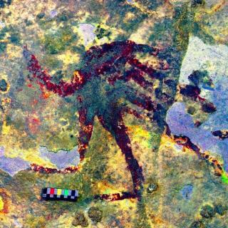 印度尼西亚发现了最古老的岩洞壁画