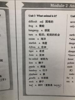 六下U3What animal is it