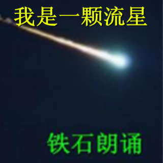 《我是一颗流星》