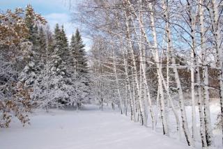 第一场雪