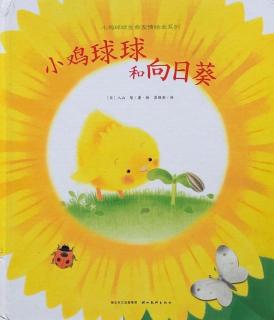 绘本故事《小鸡球球和向日葵》