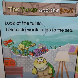 the turtle and the snail