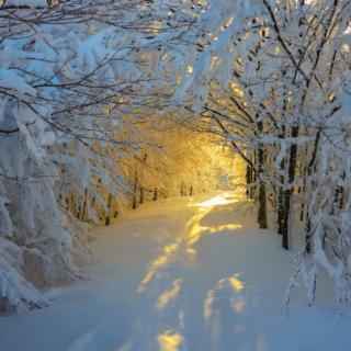 雪花的快乐