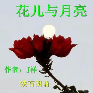 《花儿与月亮》作者：J祥