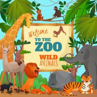 Going to the zoo