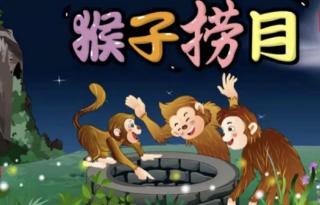 红十一幼晚安故事—《猴子捞月》