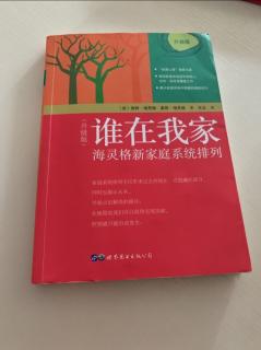 《谁在我家》第十二章灵性家庭系统排列展望