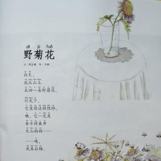 蝴蝶·豌豆花――《野菊花》作者：樊发稼