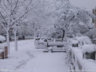 雪后  沐之