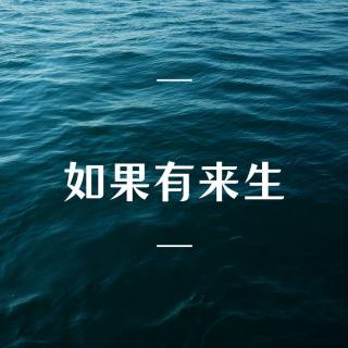 《如果有来生》