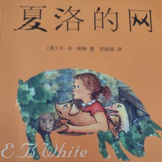 11.奇迹