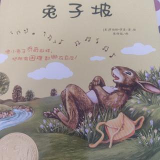 乌云掩盖了小山