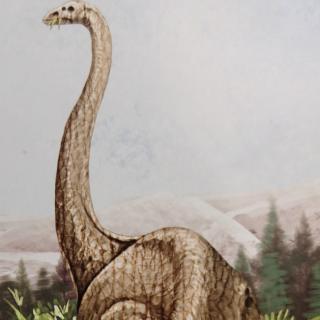 恐龙全知道--恐龙百科⑤大椎龙