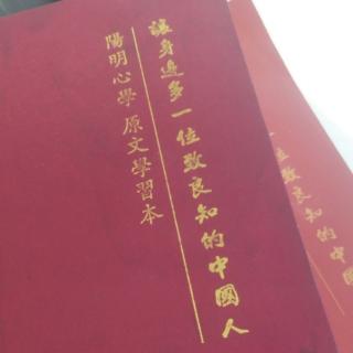 《传习录》28薛侃录 人到纯乎天理方是圣 金到足色方是精