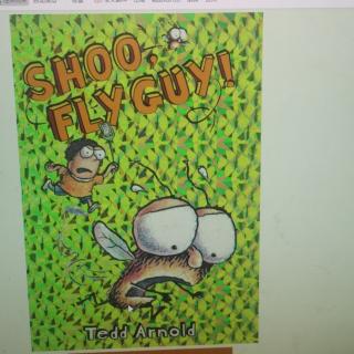 Shoo fly guy