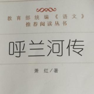 《呼兰河传》第二章第二节