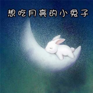 绘本故事—《想吃月亮的小兔子🐰》