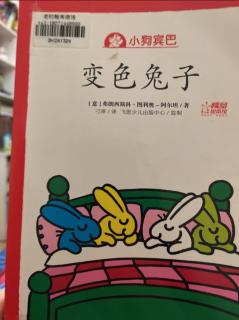 变色兔子