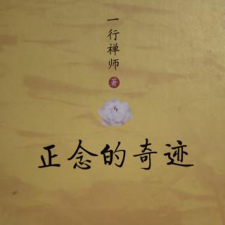 《正念的奇迹》河水清，草木绿