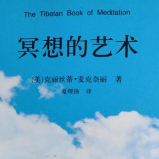 《冥想的艺术》——通向痛苦尽头的道路