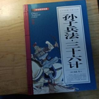 《孙子兵法•三十六计》败战计•苦肉计