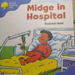 3-25  Midge  in  Hospital