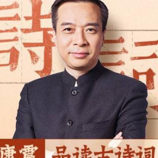 康震讲诗词 王安石10不能承受青苗之轻