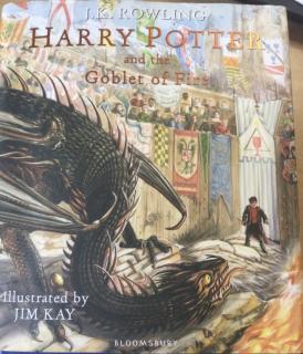 Harry Potter and the goblet of fire P171—179--Eric