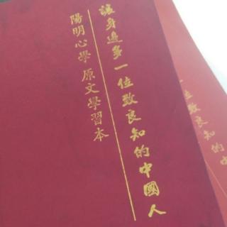 《传习录》30薛侃录 为学须得个头脑  功夫方有着落