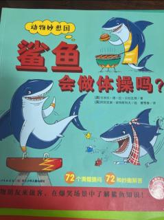 NO.353桃子姐姐讲故事《鲨鱼会做体操吗？》