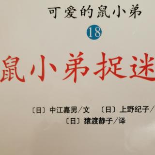 麻麻鼠小弟捉迷藏