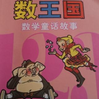 奇妙的数王国