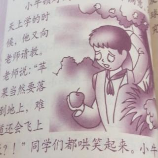 《苹果为什么会落地》