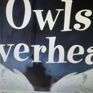 owls overhead