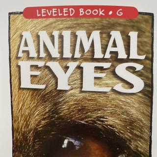 RAZ LevelG 106 - Animal Eyes