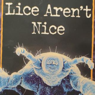 Lice are not nice