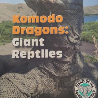 Komodo dragons:giant reptiles