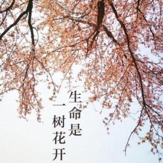 《生命是一树花开》