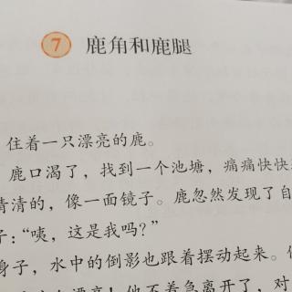 7.《鹿角和鹿腿》