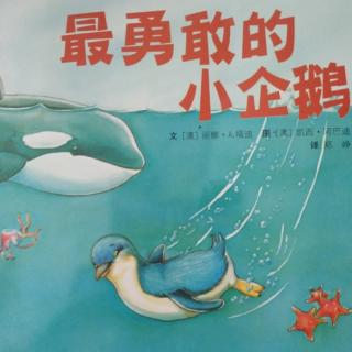 【舜宝故事屋】第48期《最勇敢的小企鹅》