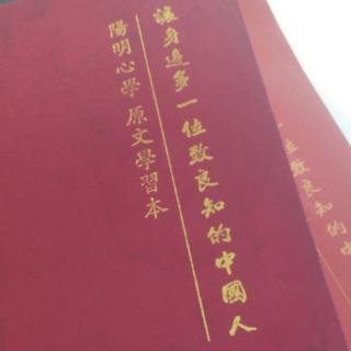 《传习录》31薛侃录  为学大病在好名