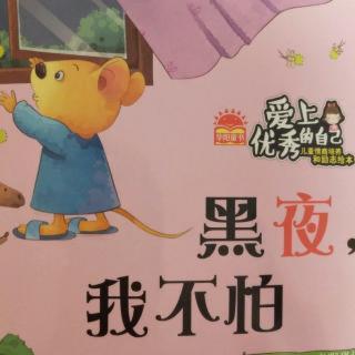 《黑夜 我不怕》