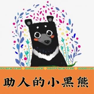 助人的小黑熊