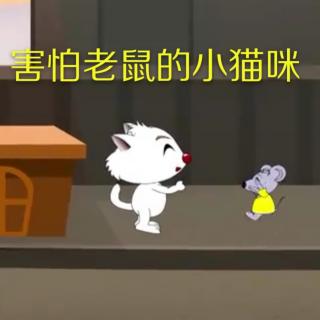 害怕老鼠的小猫咪