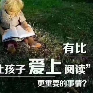 《小猴子坦坦的背带裤》