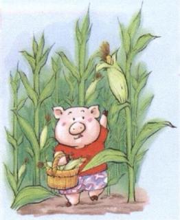 故事《小猪种玉米🌽》