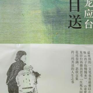 40、龙应台‖《目送》第二章：(13)四千三百年