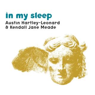 (欧美民谣）In My Sleep-Austin Hartly Leonard