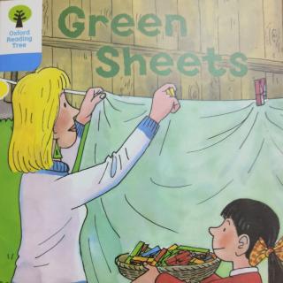 3-41  Green  Sheets